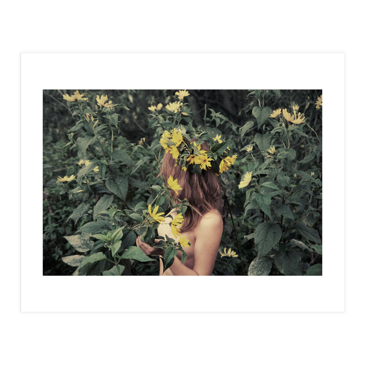 Acid Rain (Print Only)