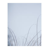 Forgotten Memories of Summer #20 (Print Only) thumbnail