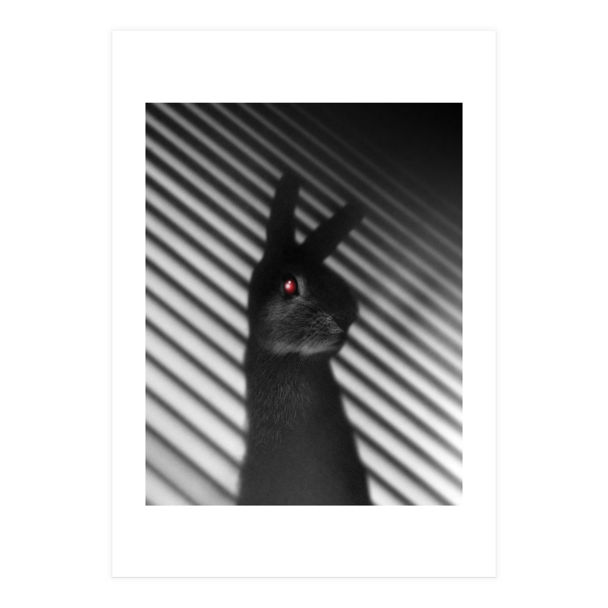 Shadow Bunny (Print Only)