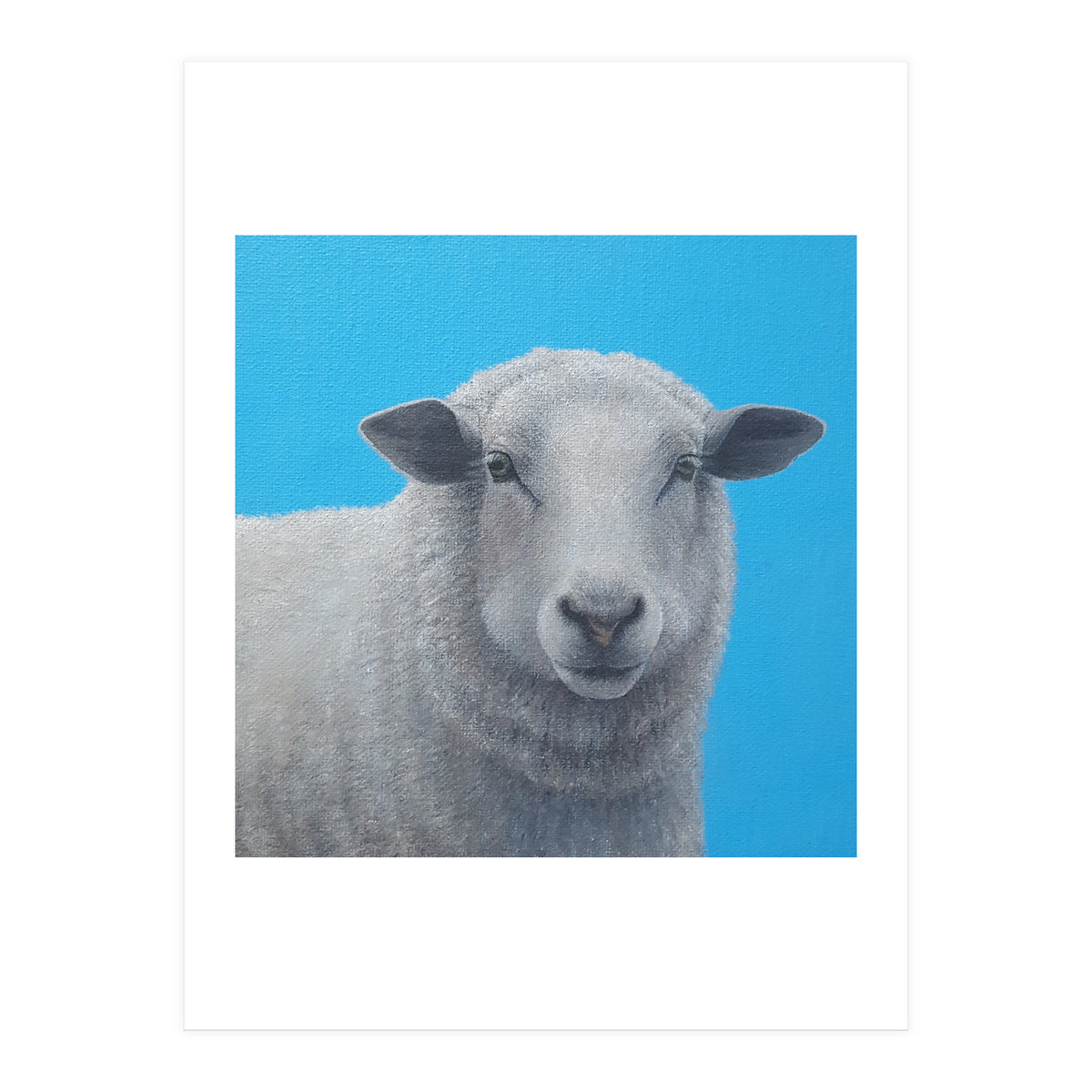Sheep (Print Only)