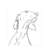 Smell  (Print Only) thumbnail