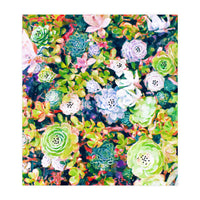 Watercolor Succulents (Print Only)