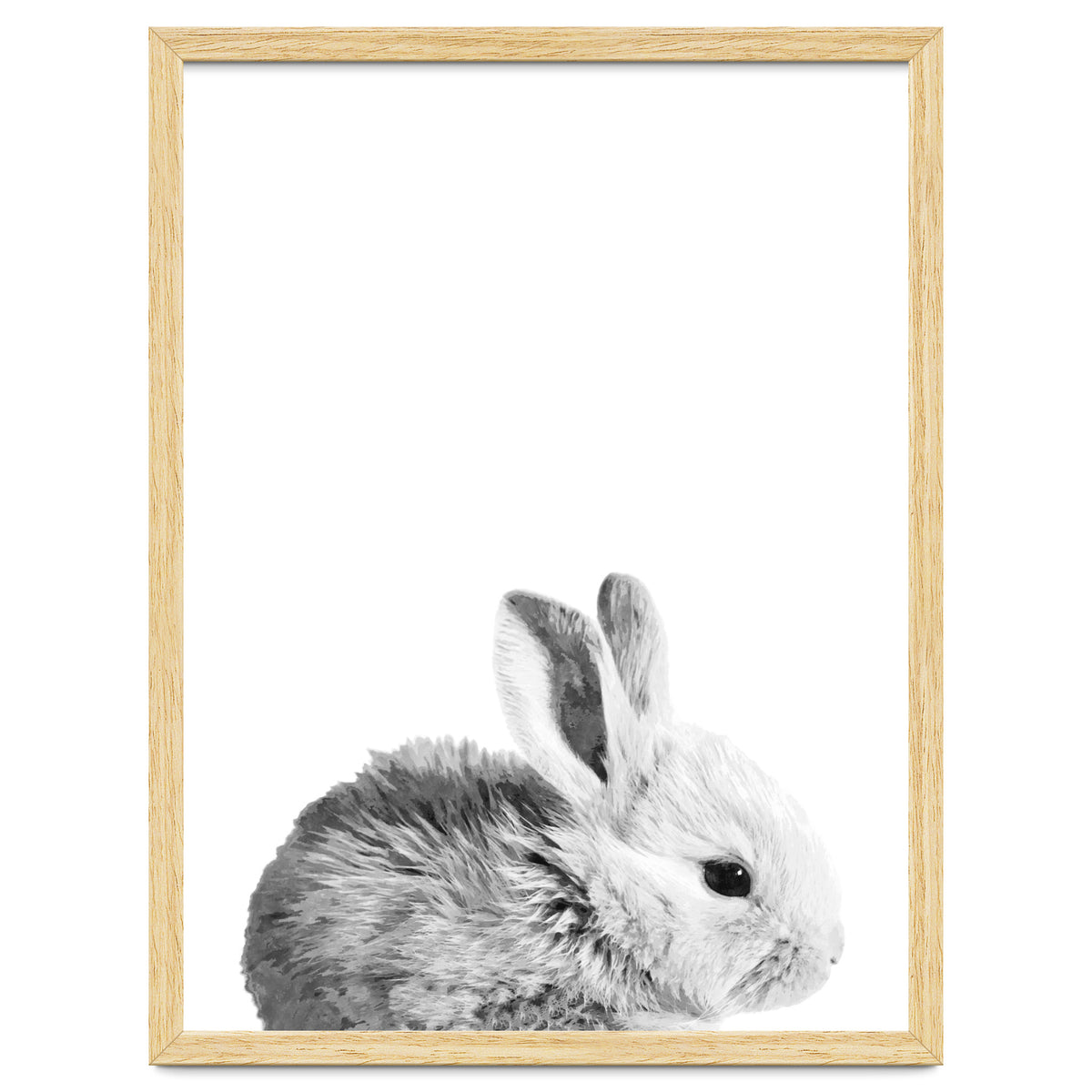 Black and White Bunny Portrait