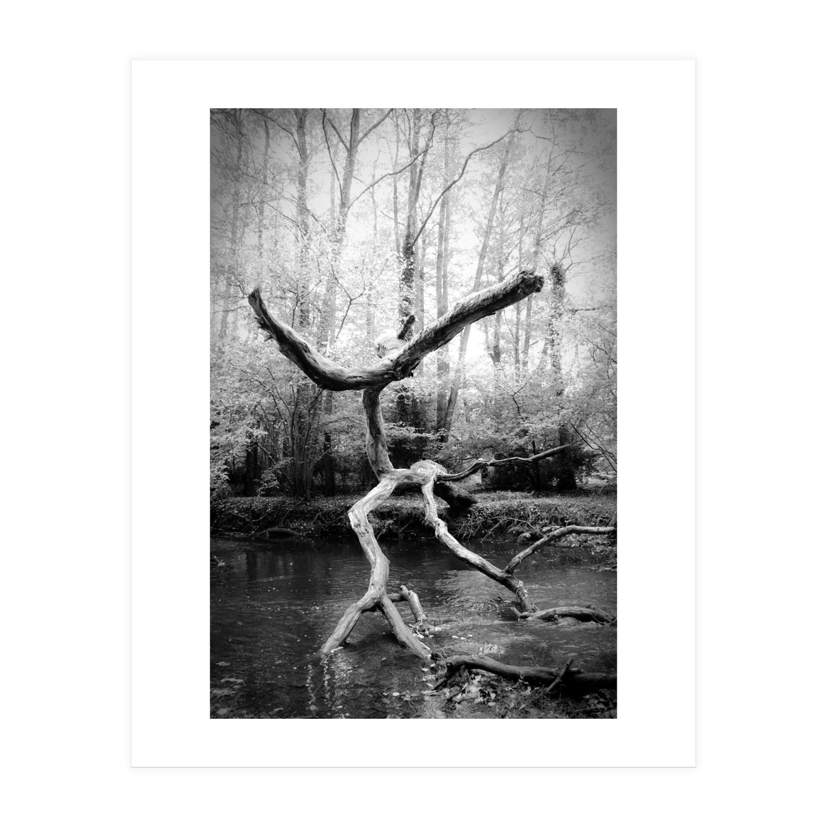 the negotiator (Print Only)