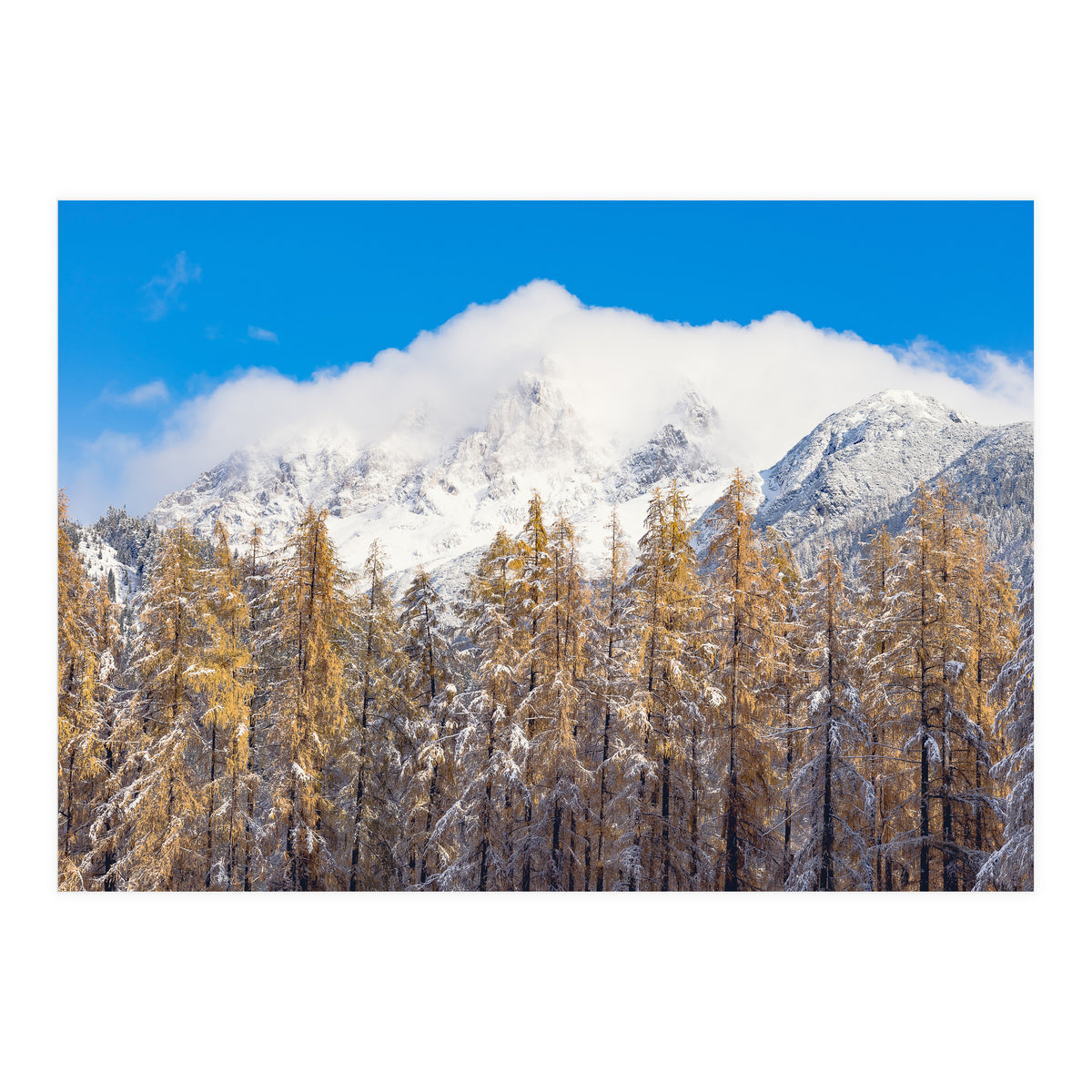 Cloudy Crown (Print Only)