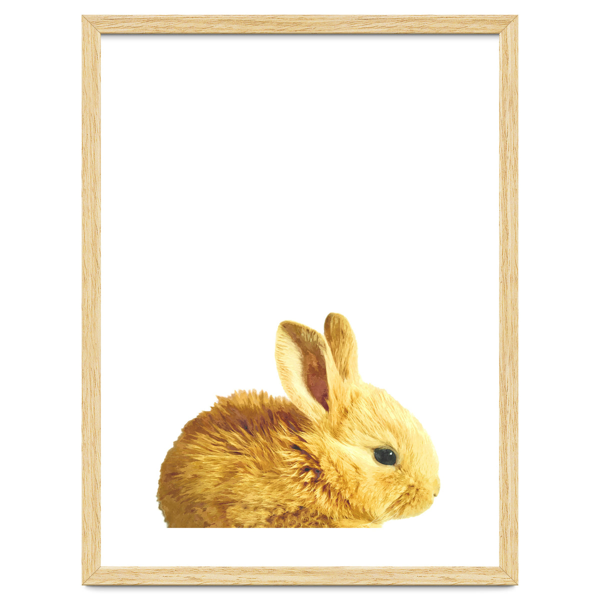 Bunny Portrait