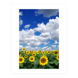 Nature (Print Only) thumbnail