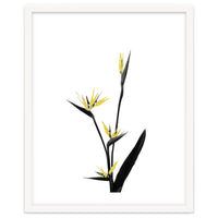 Flower Minimal Black And Gold 05