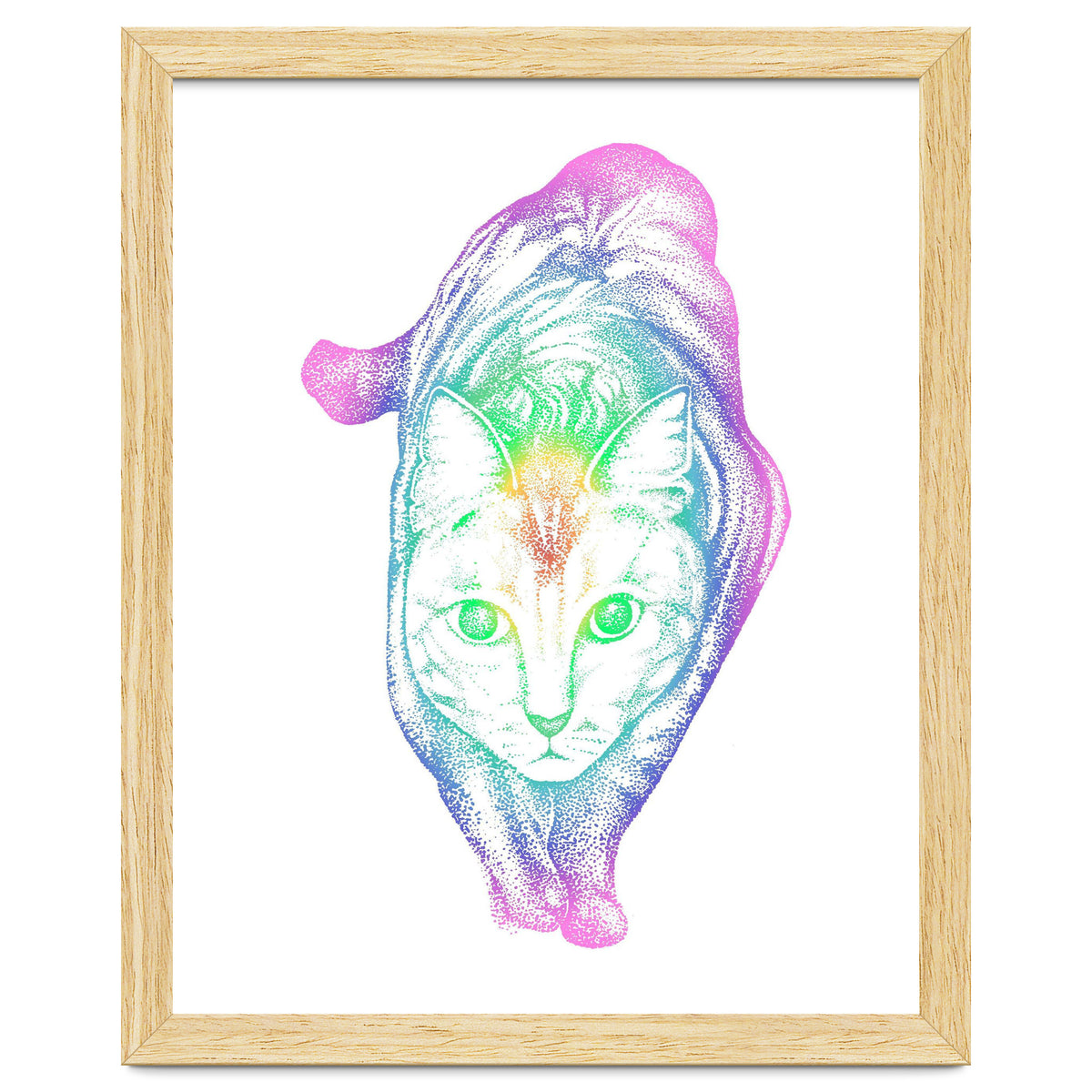 Rainbow Pastel Cat