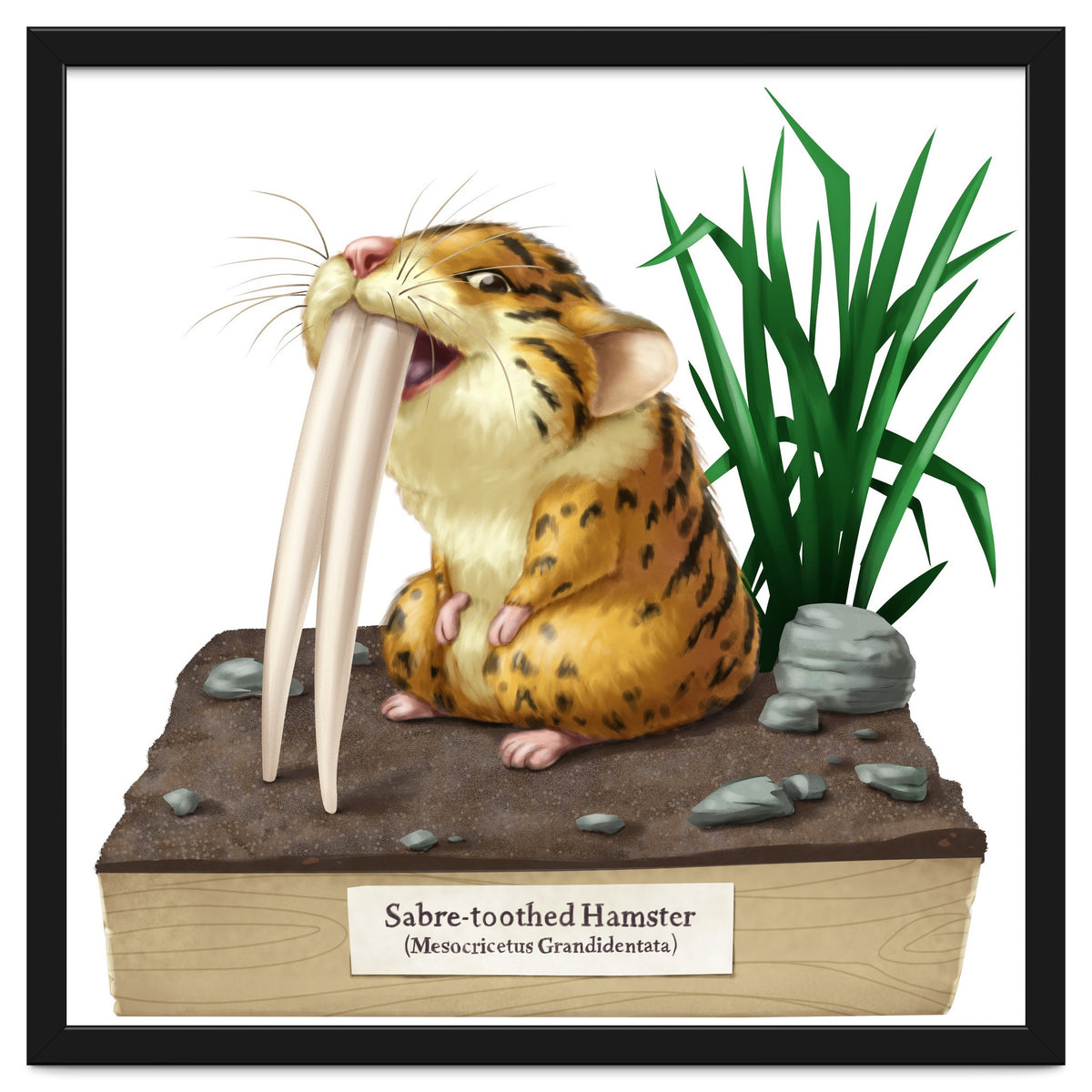 Saber-toothed Hamster