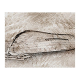 Returning to the Sea (Print Only) thumbnail