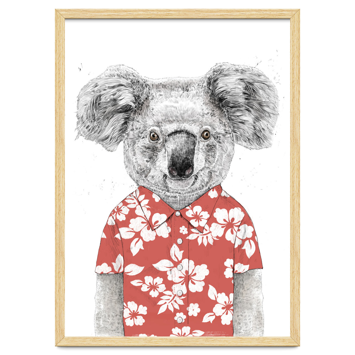 Summer Koala