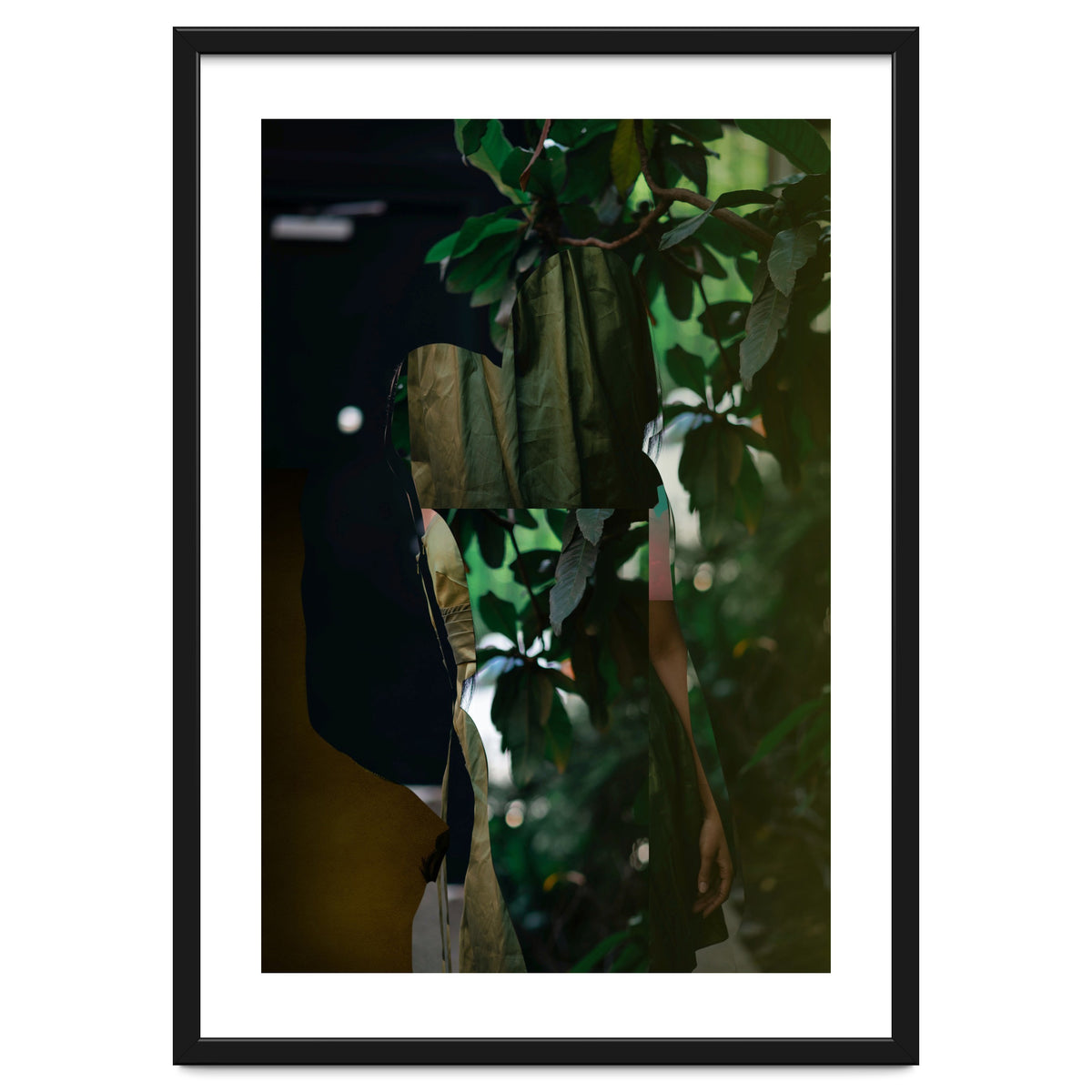 Disappeared Dreams 5