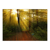 Nature (Print Only) thumbnail