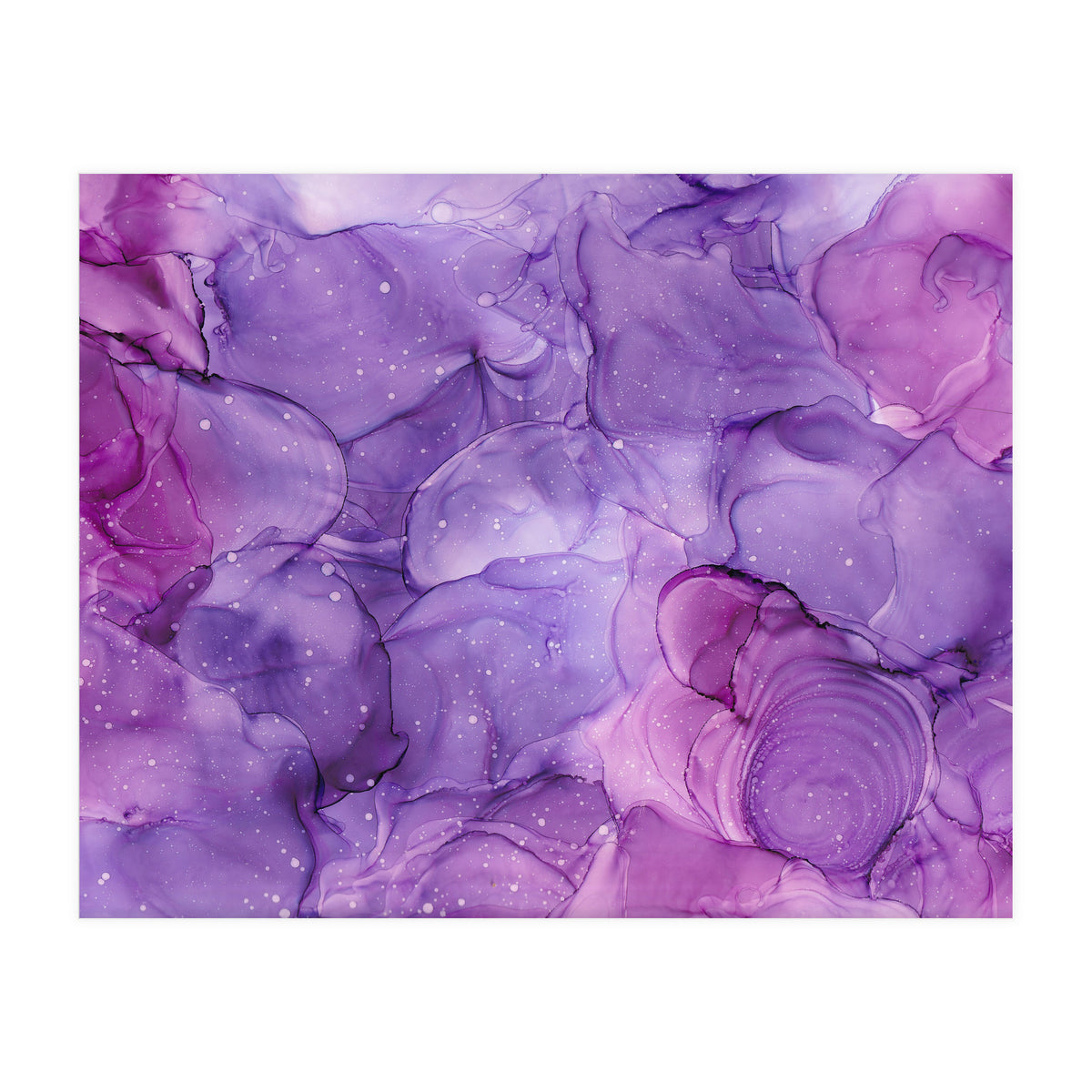 Wild Lilac Hedgerow (Print Only)