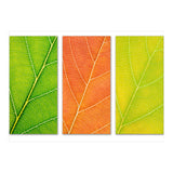 Autumn Leaves (Print Only) thumbnail
