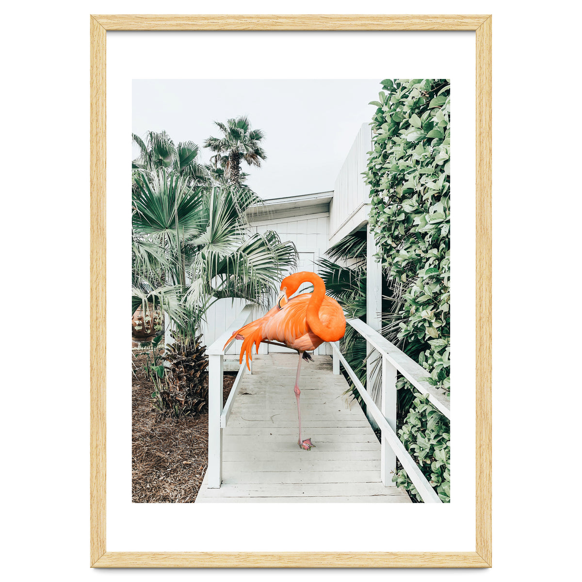 Flamingo Beach House