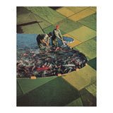 Salmon Farm (Print Only) thumbnail