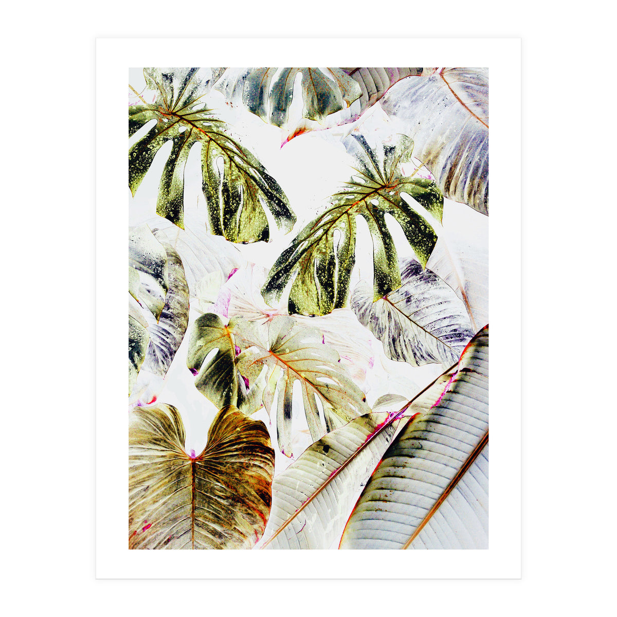 Vintage Tropica (Print Only)
