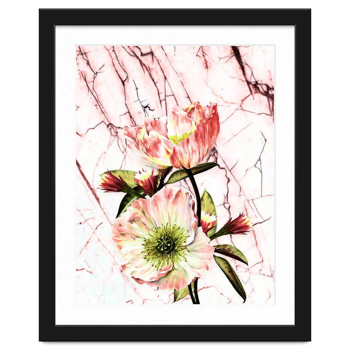 Flowering on pink marble