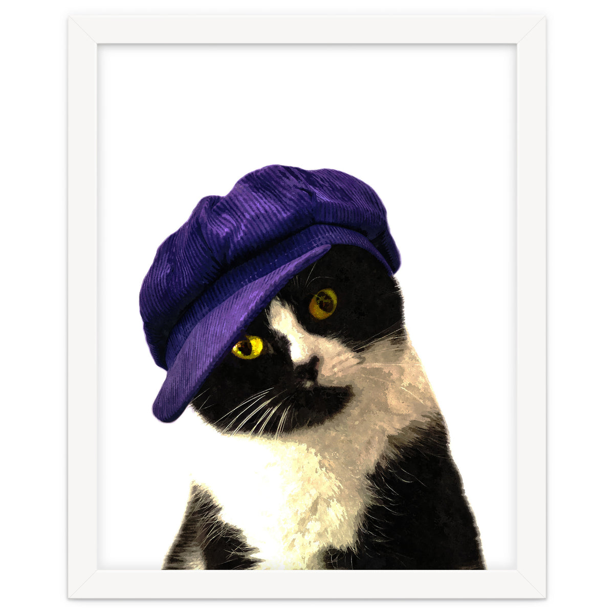 Cat Blue Hat