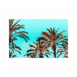 Carla (Print Only) thumbnail