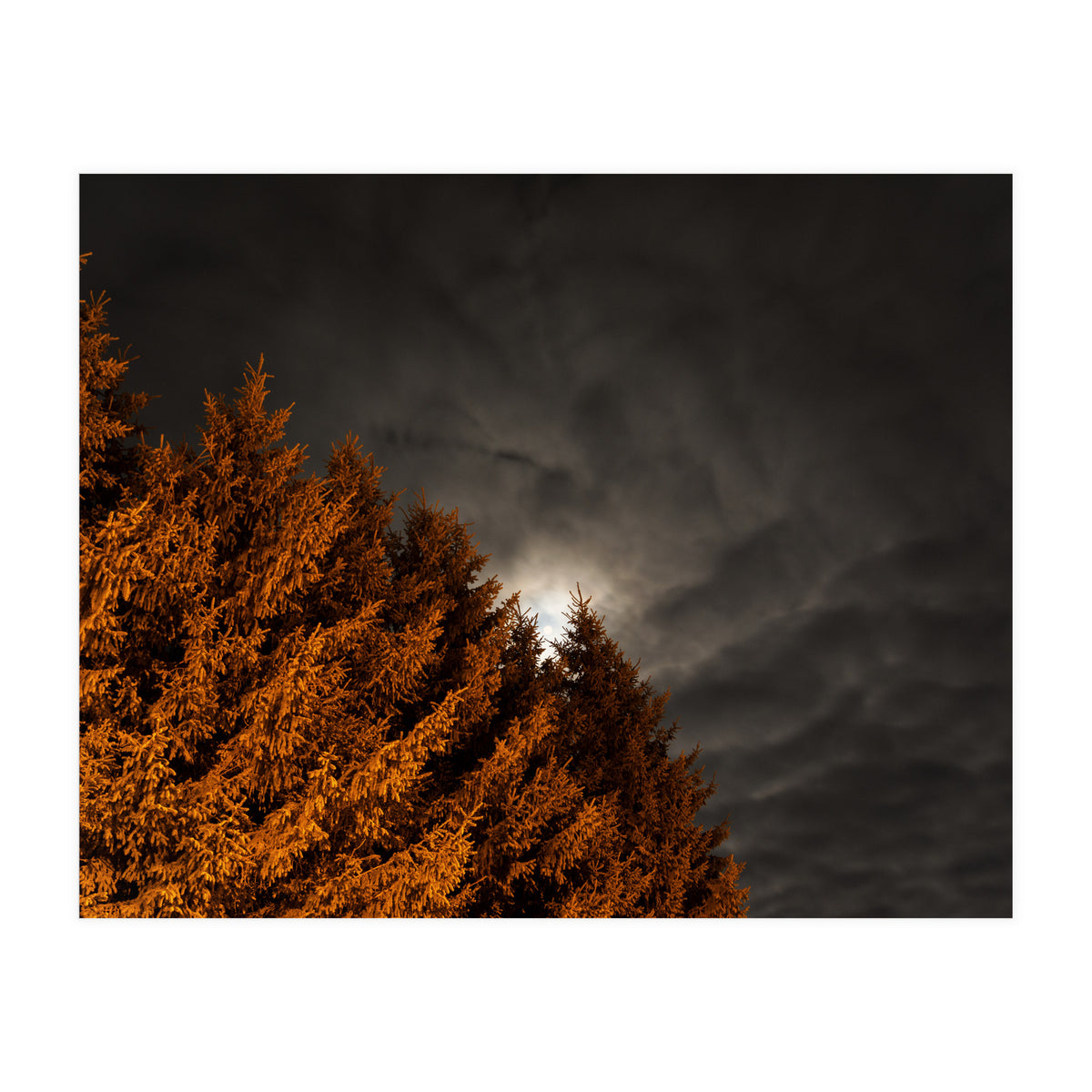 Howling (Print Only)