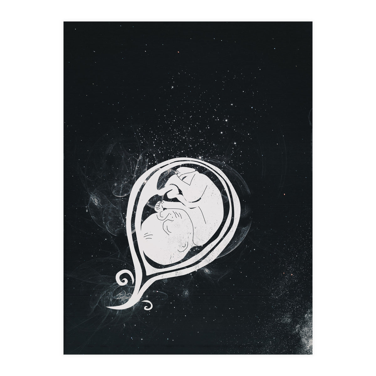 Baby Cosmos (Print Only)