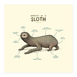 Anatomy Of A Sloth (Print Only) thumbnail