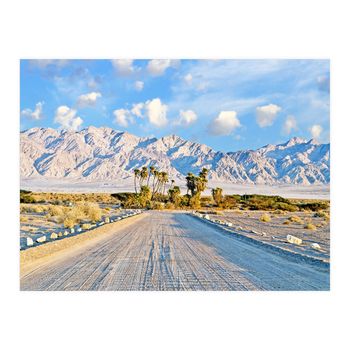 Summer Scenic (Print Only)