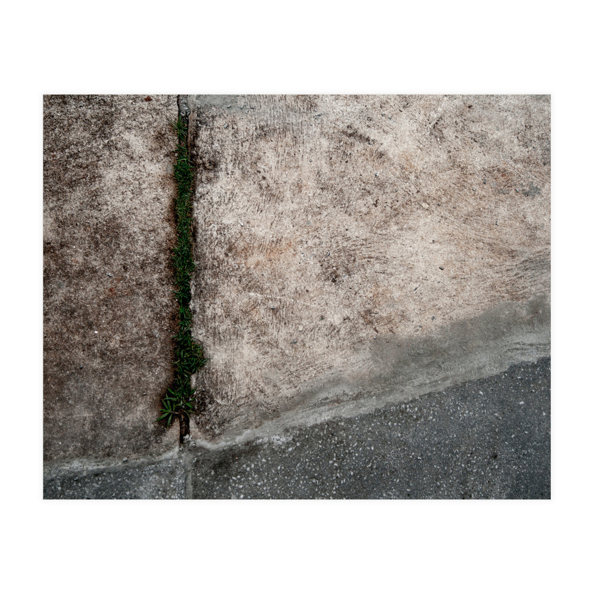 Urban #1 (Print Only)