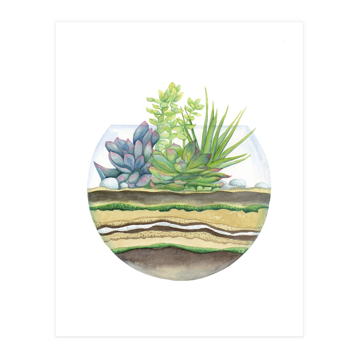 A Little Green Terrarium (Print Only)