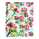 Frangipani (Print Only) thumbnail