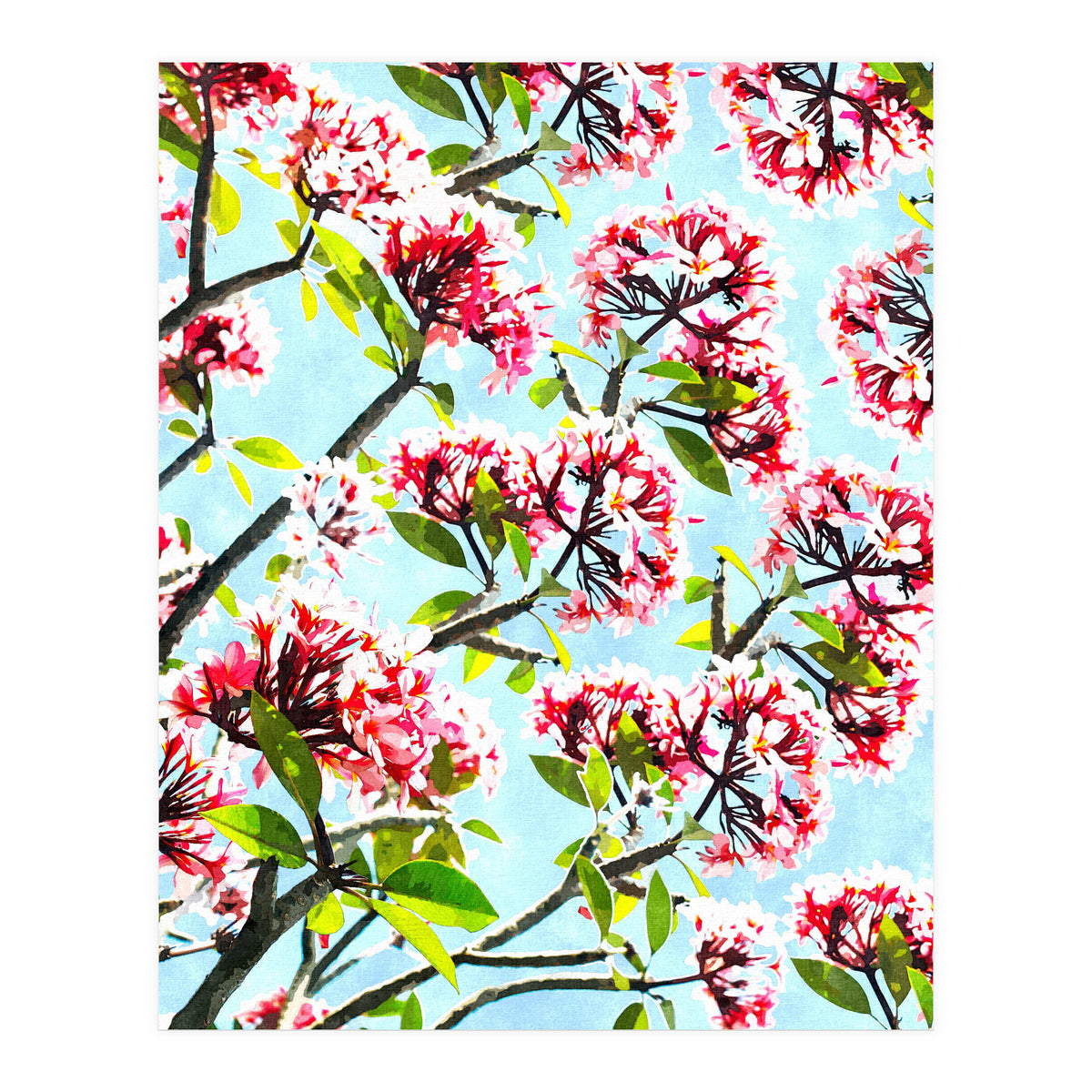 Frangipani (Print Only)