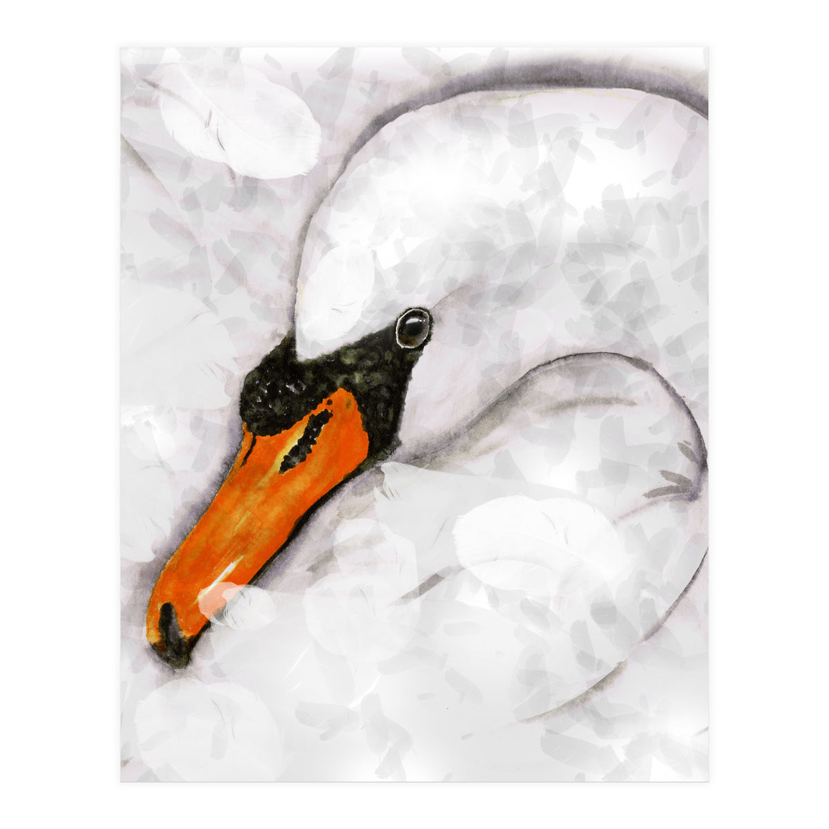 Mute swan (Print Only)