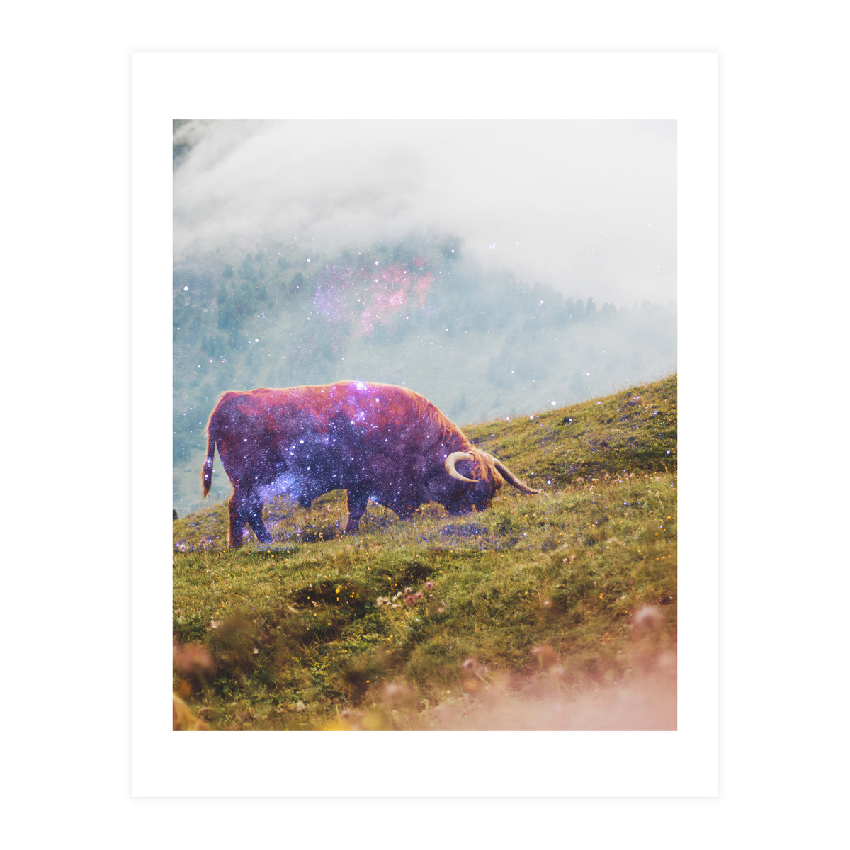 Space Cow Series I (Print Only)