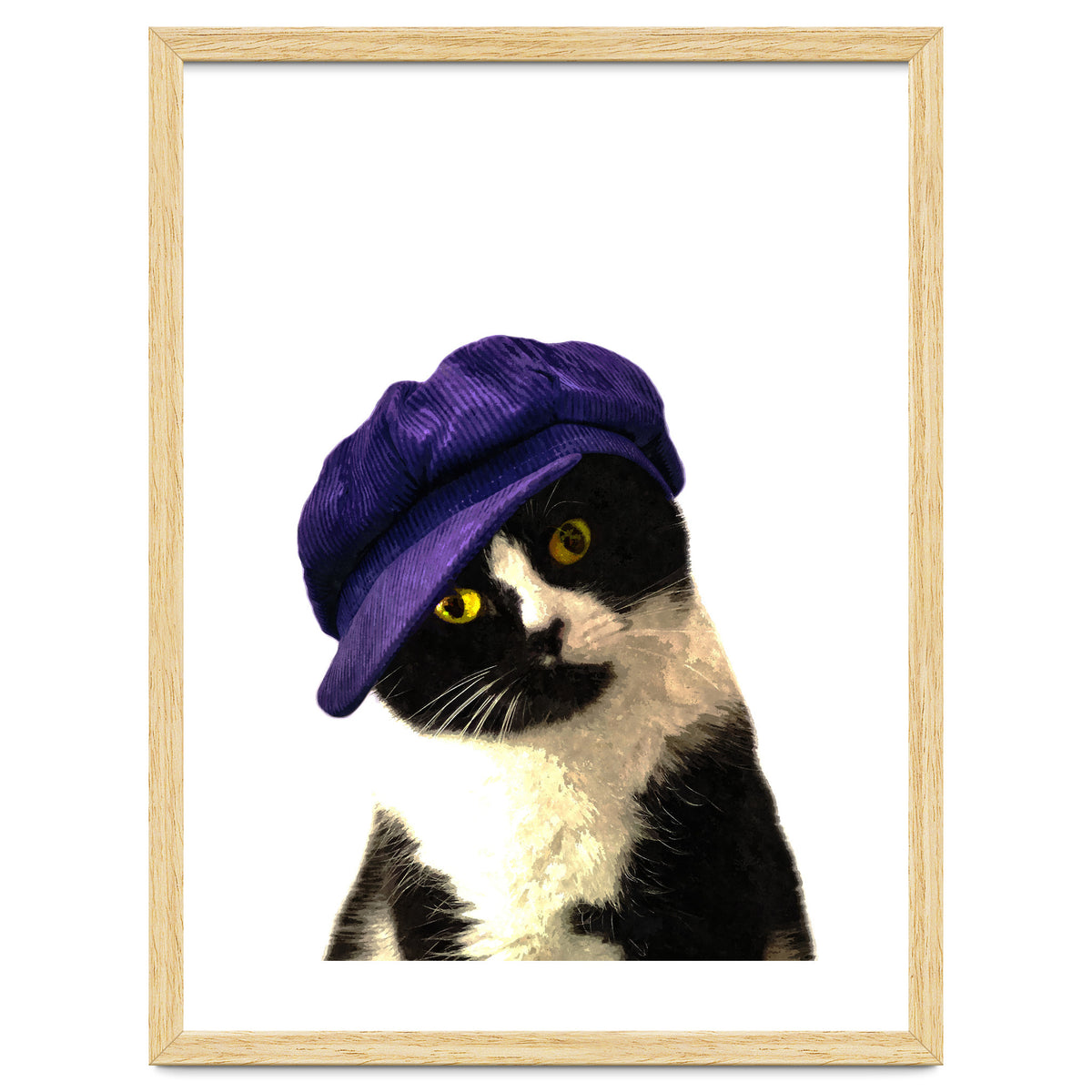 Cat Blue Hat