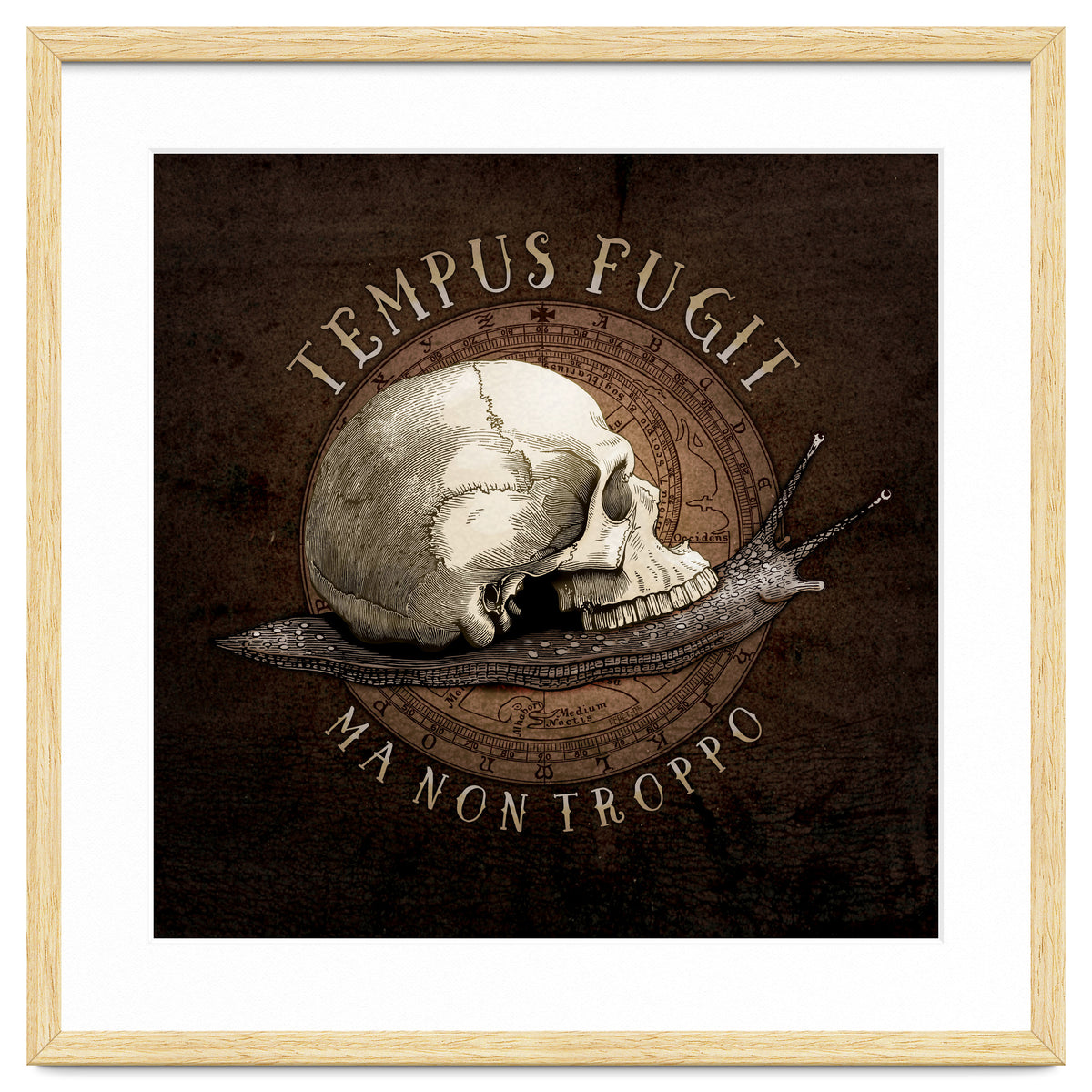 Tempus Fugit (ma non troppo)