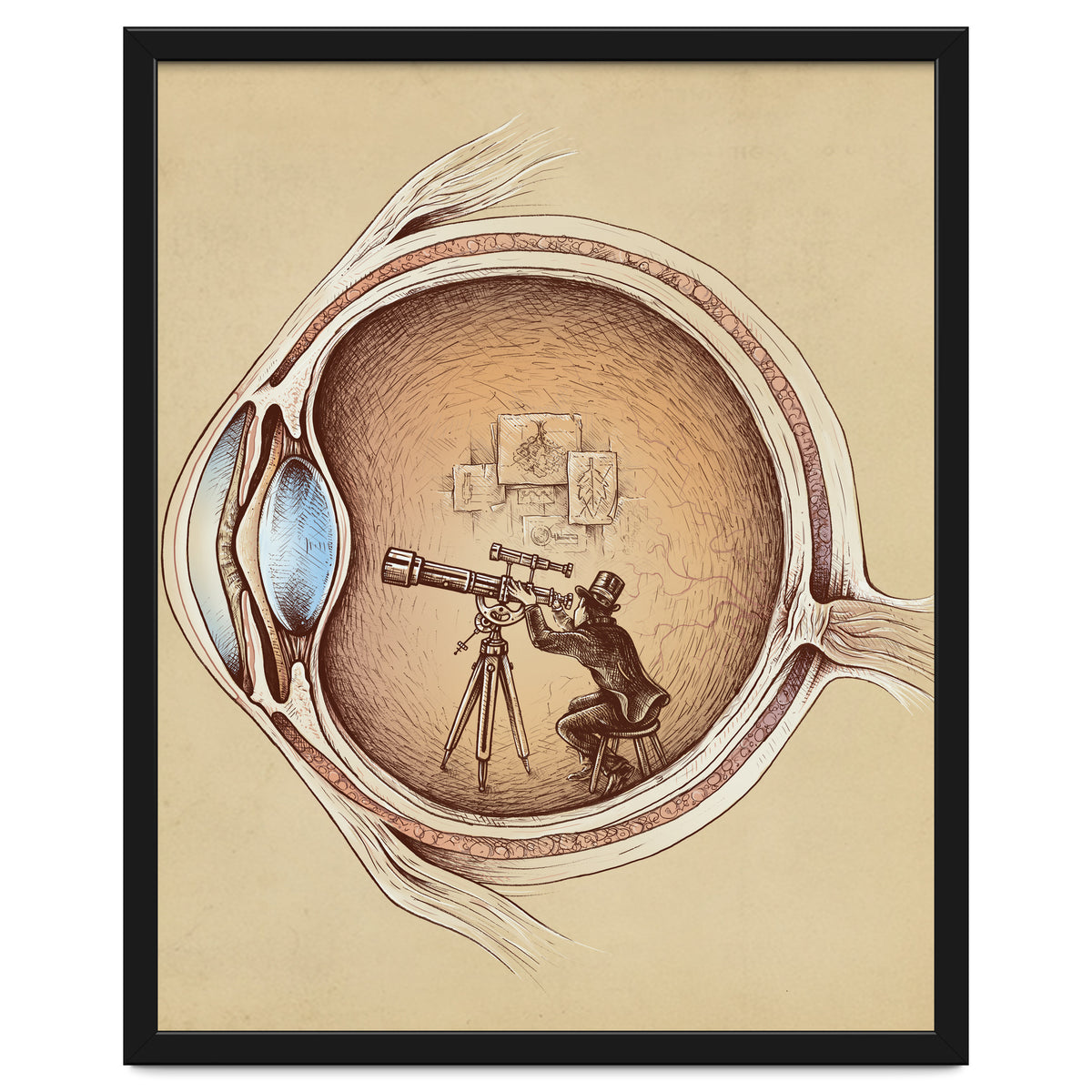 Extraordinary Observer