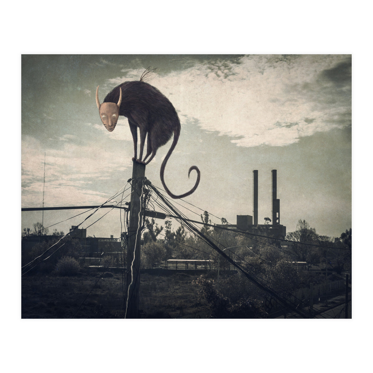 Bicho volador (Print Only)