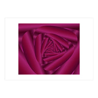 Pink Color Rose Swirl Art (Print Only)