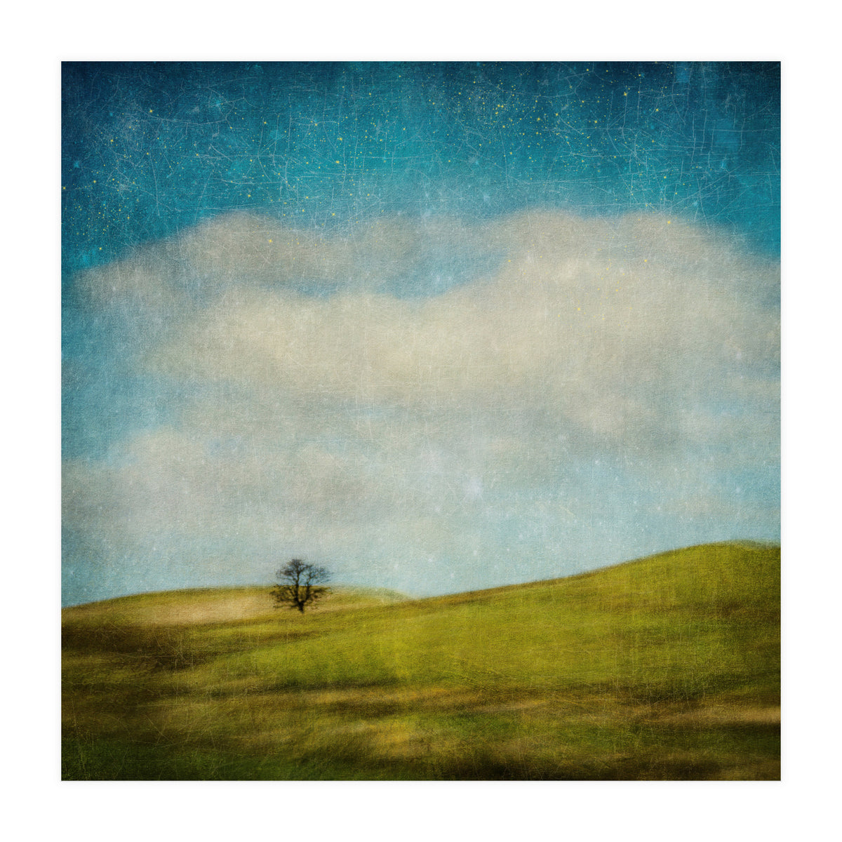 Strange Times (Print Only)