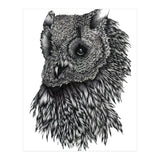 Forsythe (Print Only) thumbnail