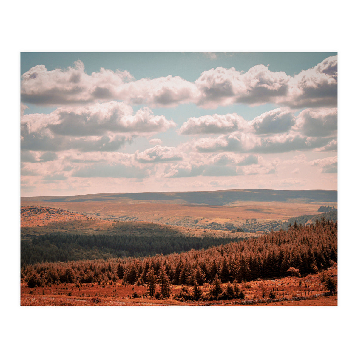 Dartmoor forest (Print Only)