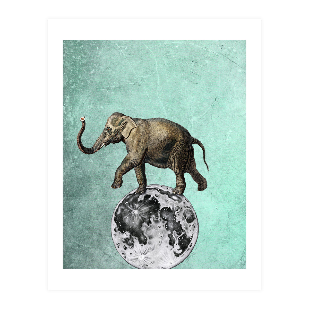elefante sul modo (Print Only)
