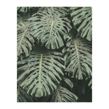 MONSTERA LEAVES (Print Only) thumbnail