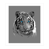 Sketch Tiger (Print Only) thumbnail