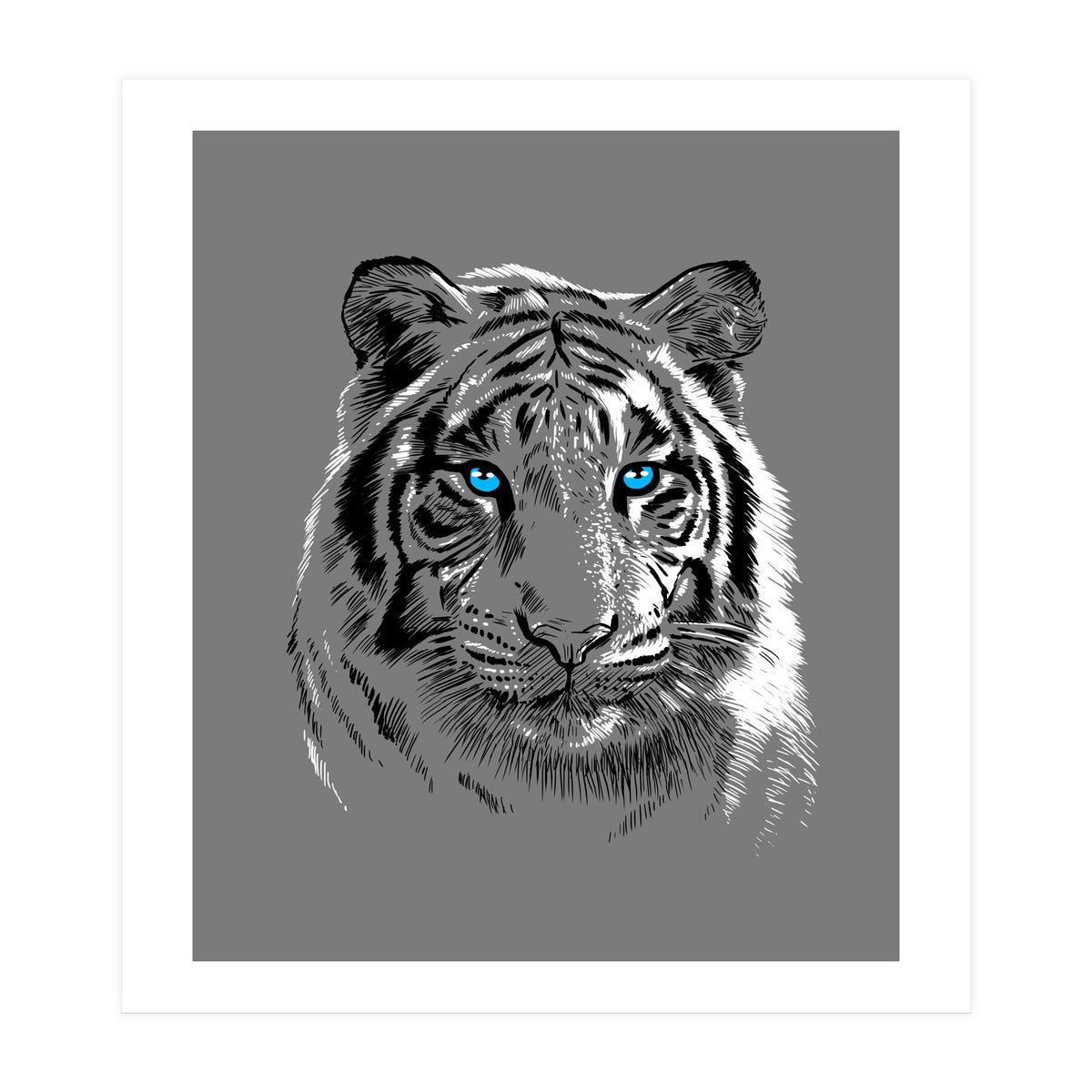 Sketch Tiger (Print Only)