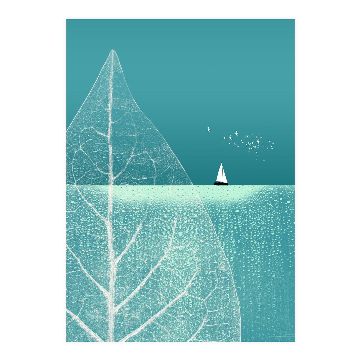 Ocean Wonderland II (Print Only)