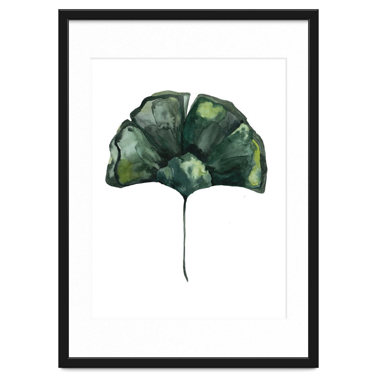 Botanical Illustration Ginko